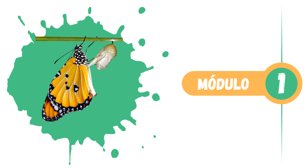 pom-mod1