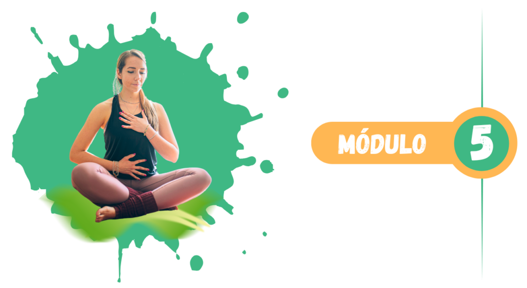 pom mod5